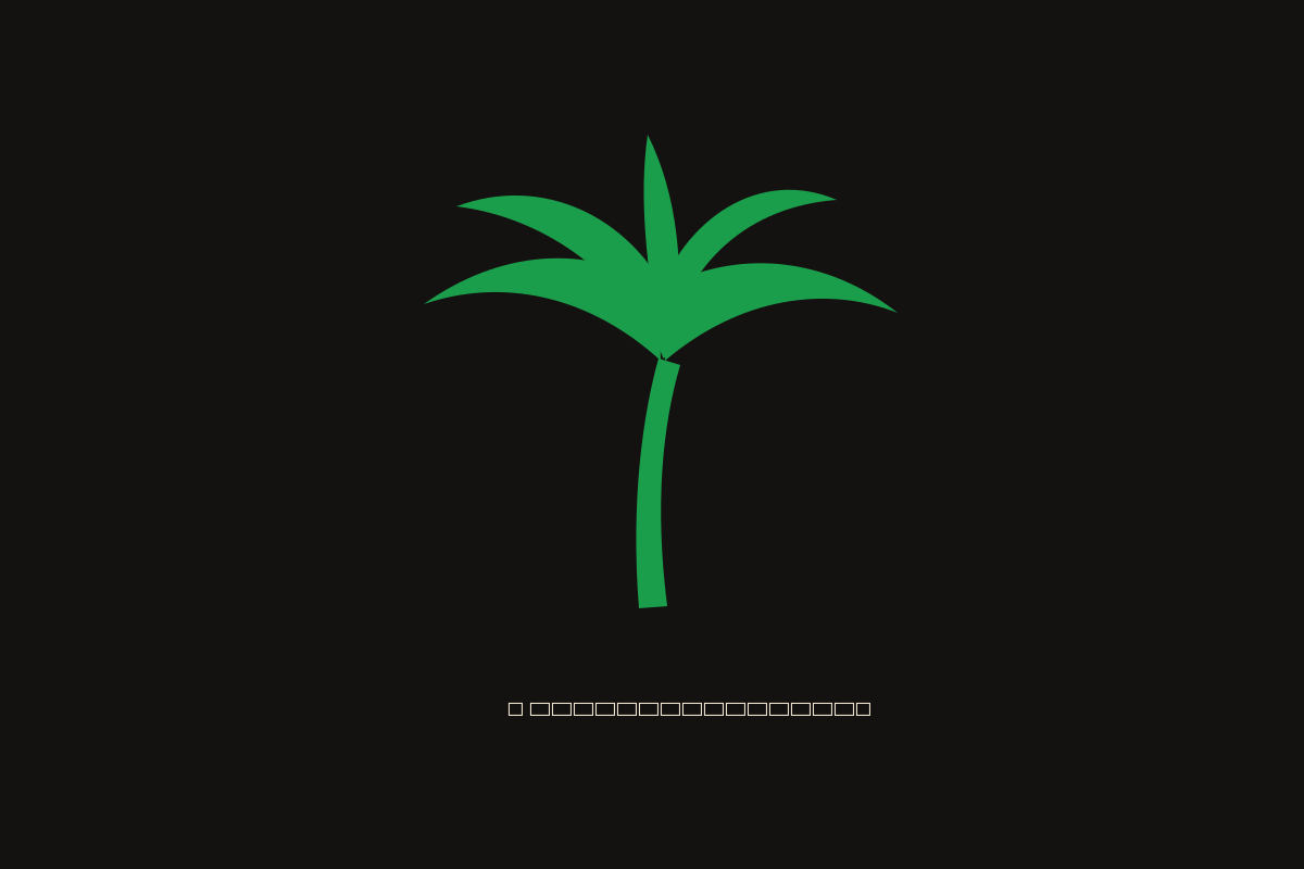 Palm Tree Antics band — photo coming soon